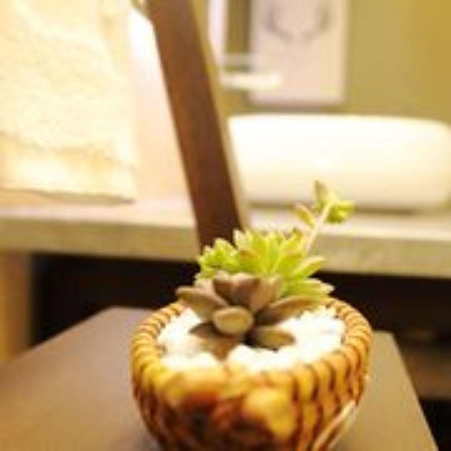 Xi'An Tanglong International Hotel Dış mekan fotoğraf